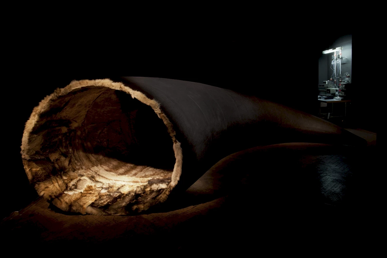 K 9 Topologija Ecce Canis Foto Miha Fras 01