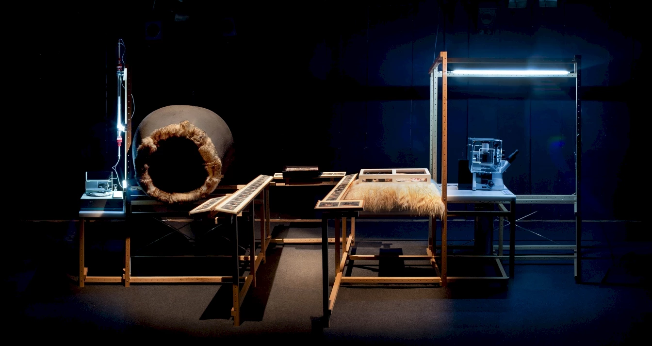 Maja Smrekar K 9 Topology Photo Miha Fras