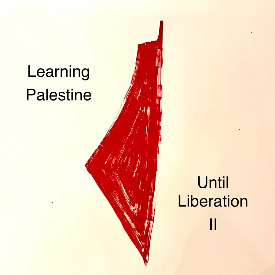 Learningpalestine Lp2