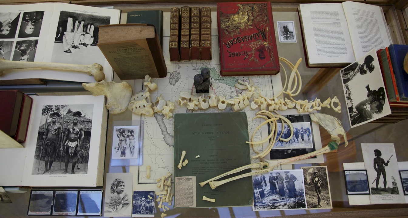 Brook Andrew, Exhibition view of Anatomy of a Body Record : Beyond Tasmania, 2013.