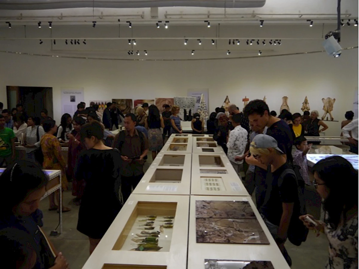 125,660 Specimens of Natural History (facing entrance)