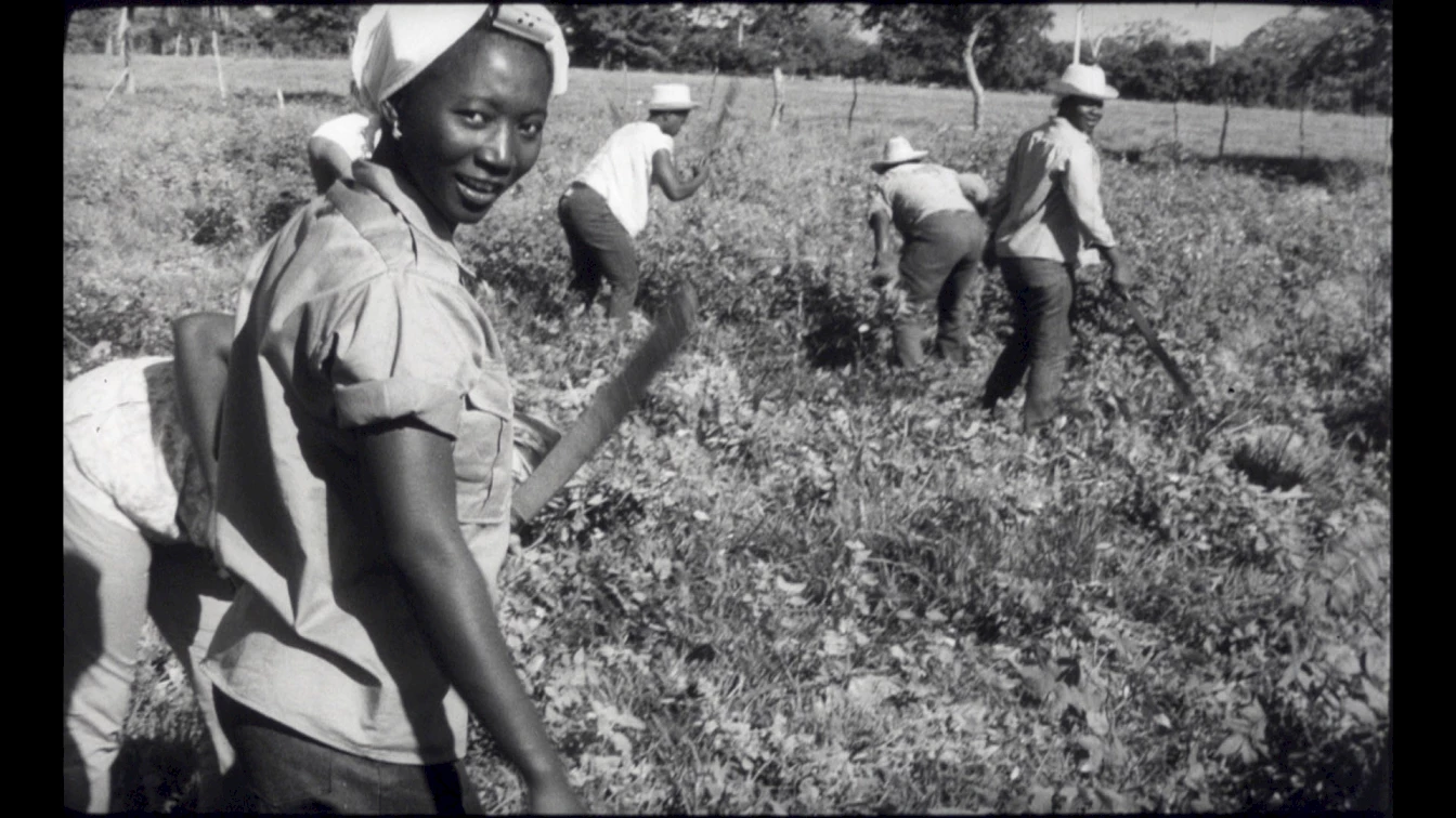 02_images_grin_cesar30