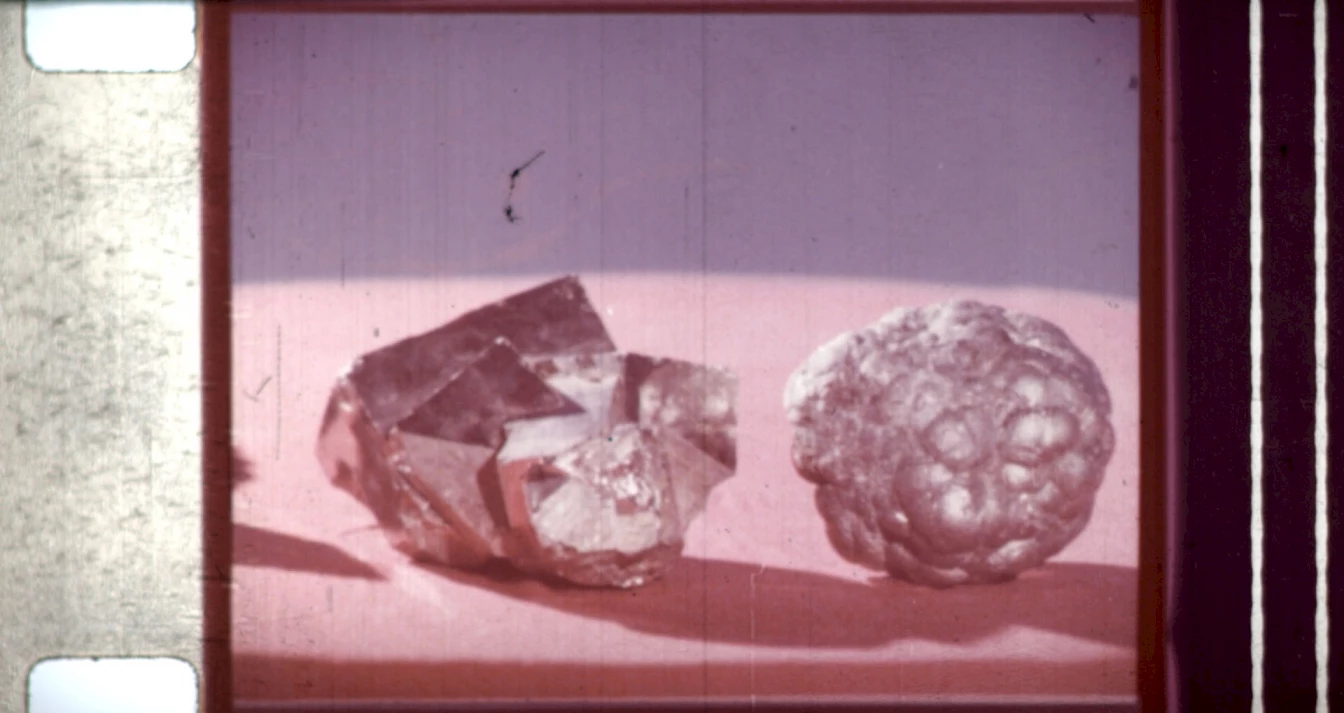 05_images_grin_cesar09