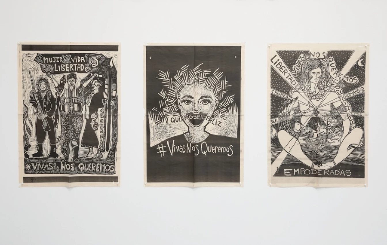 Fernanda Laguna 3 Collective Protest Works