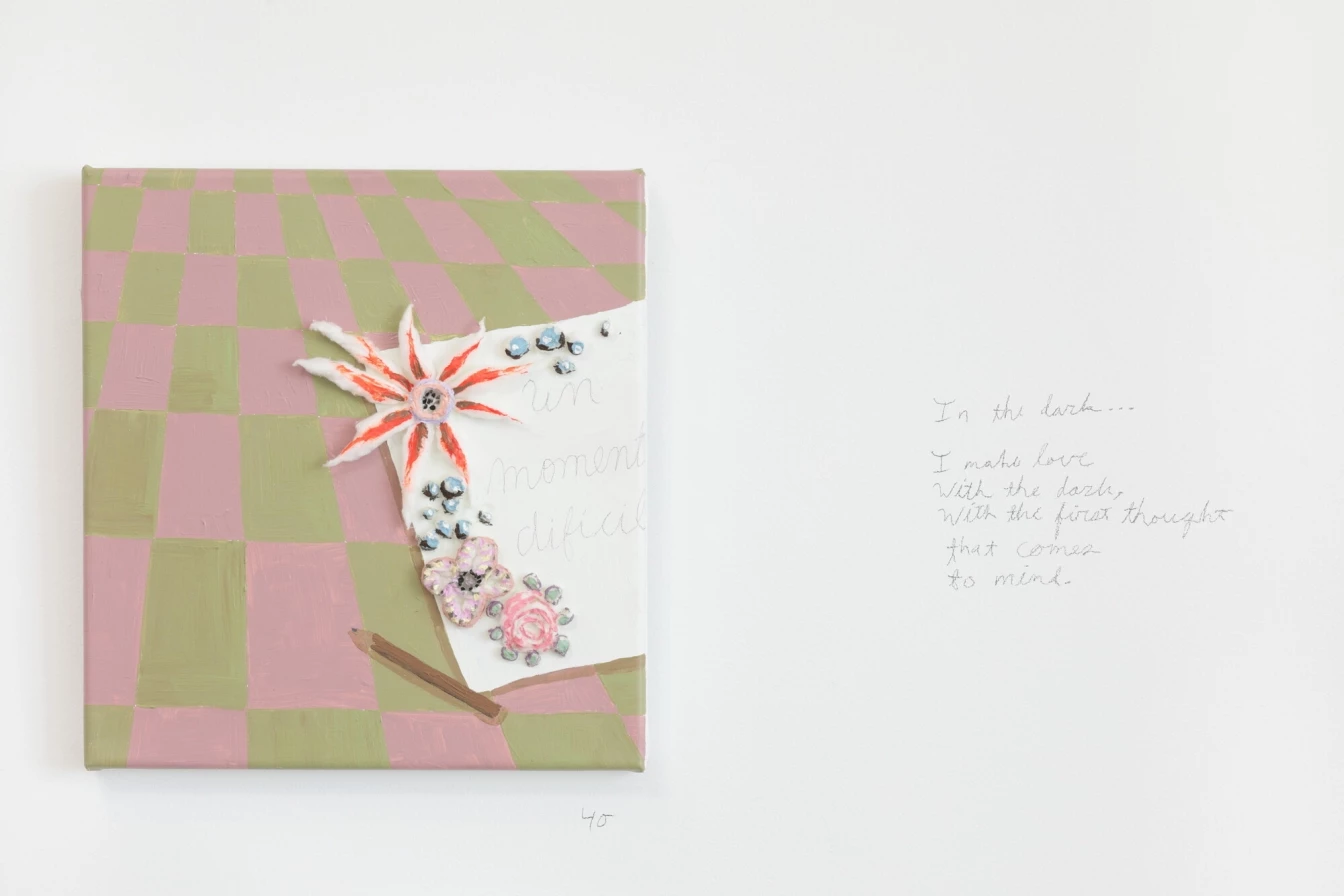 Fernanda Laguna 2 Un Momento Dificil