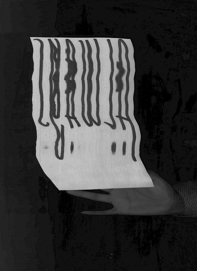 Lukaza Branfman Verissimo Always