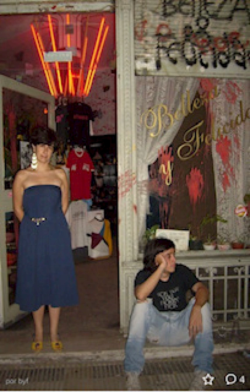 Fig 6. Image Of Belleza Y Felicidad Gallery, Buenos Aires, 1999 2007, Courtesy Of Fernanda Laguna And Cecilia Pavón.img 5483