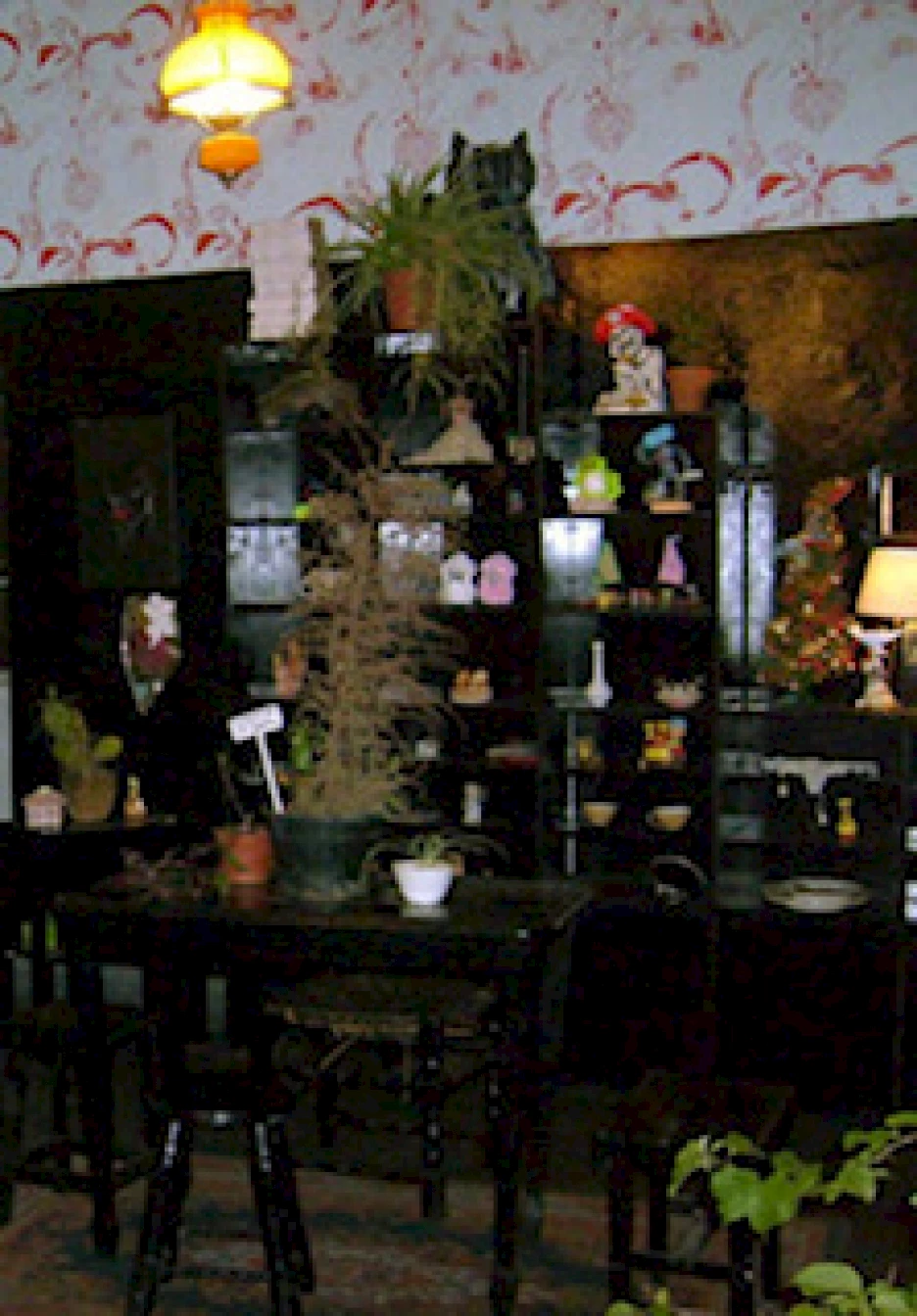 Fig 4. Image Of Belleza Y Felicidad Gallery, Buenos Aires, 1999 2007, Courtesy Of Fernanda Laguna And Cecilia Pavón.img 5485