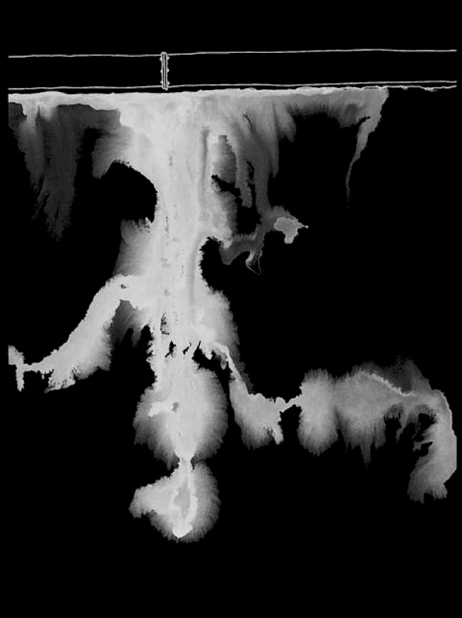 Sepideh Karami Image 5