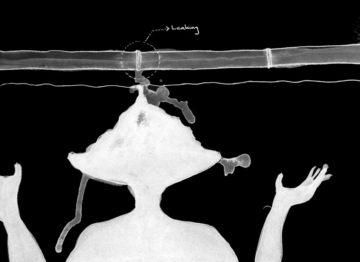 Sepideh Karami Image 6