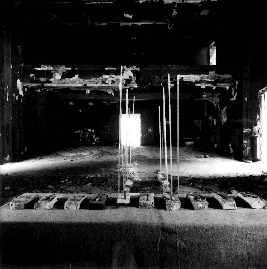 Fig 6 Asja Mandic Pasic Witnesses Of Existence Exhibition