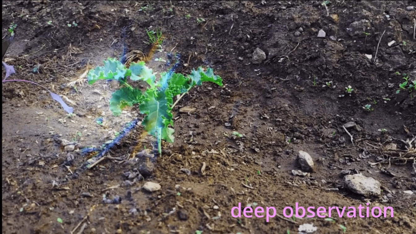 Paula Pin Degrowth 02