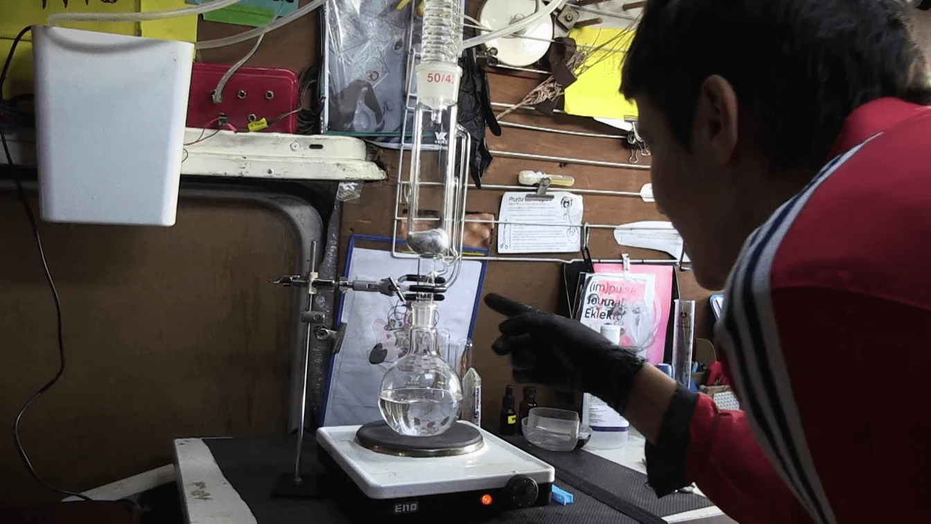 Paula Pin Degrowth 01