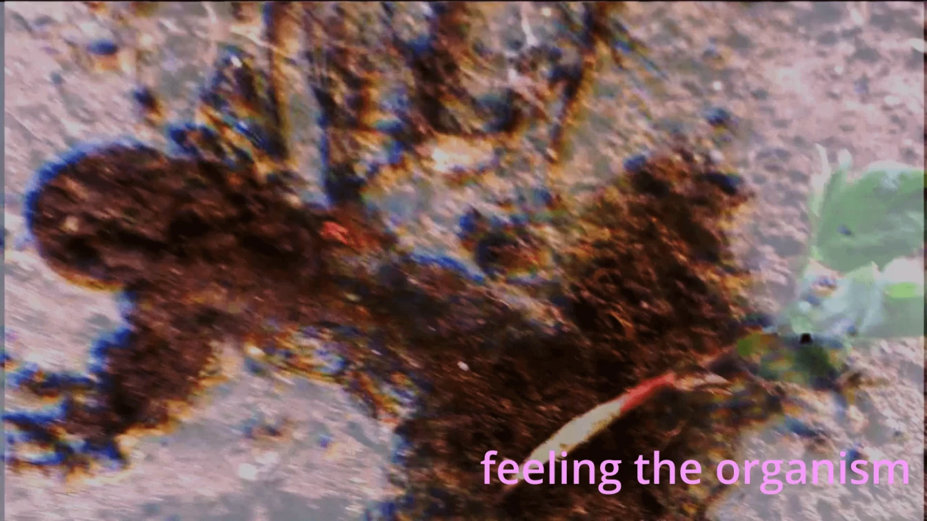 Paula Pin Degrowth 03