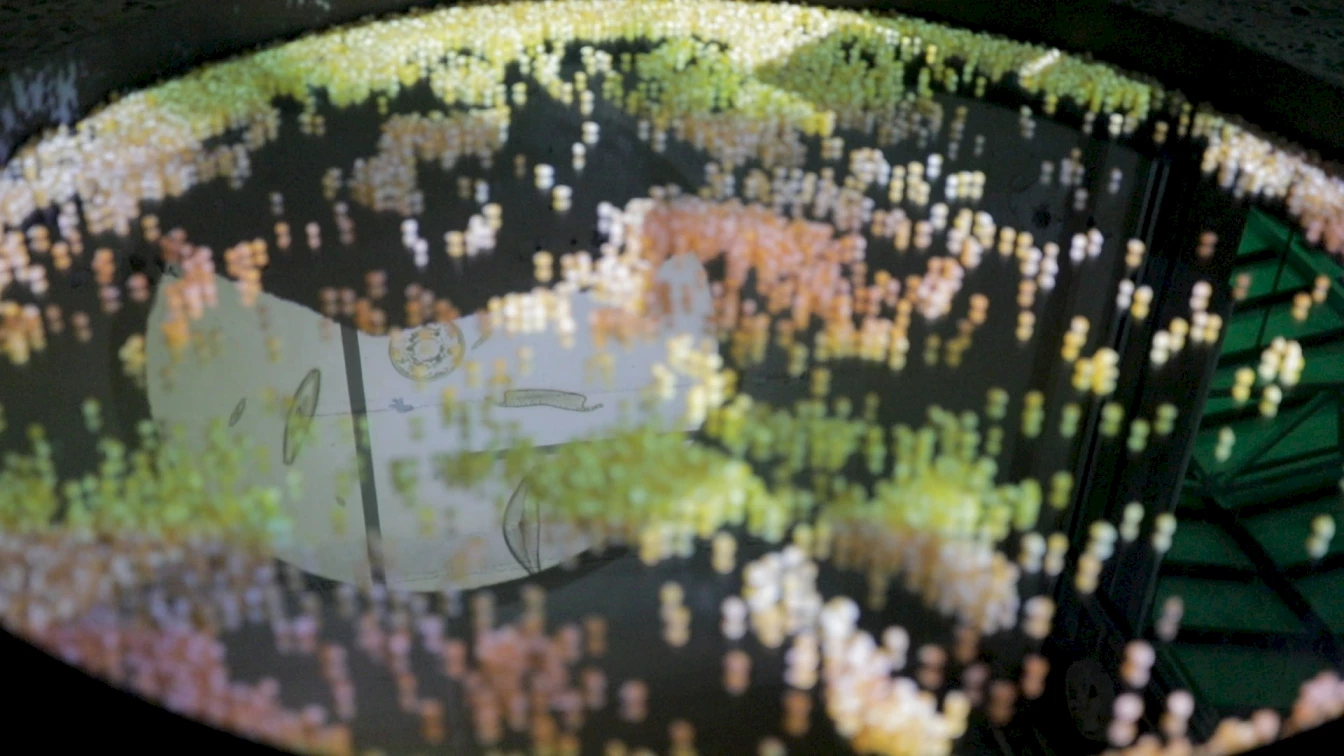 Image For The Cover Min